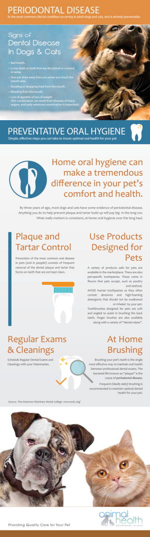 Periodontal Disease In Dogs & Cats 