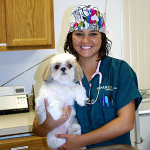 Ashley, Veterinary Staff Veterinary Assistant