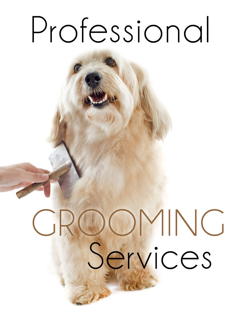 grooming - Animal Health Veterinary Clinic