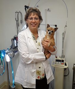 Animal Health Veterinary Clinic - Deborah Rodriguez, DVM - Owner