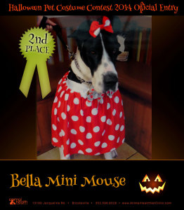 2nd Place Winner Bella Mini Mouse - Pet Costume Contest Entry