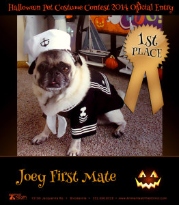 1st Place Winner Joey First Mate - Pet Costume Contest Entry