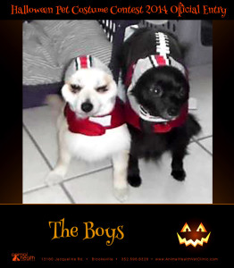 The Boys - Pet Costume Contest Entry