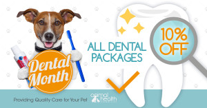 Dental Month - All Dental Packages - 10% OFF!