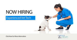 Animal Health - Veterinary Technician