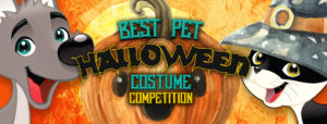 Best Pet Halloween Costume Contest