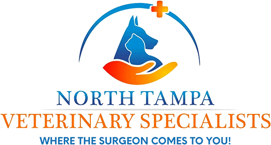 North Tampa Veterinary Specialists